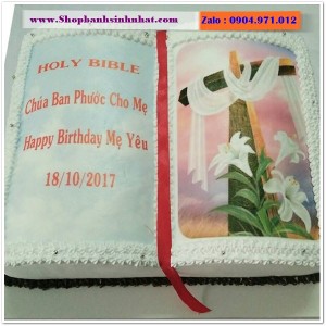 Bánh Sinh Nhật Cuốn Sách - RT22